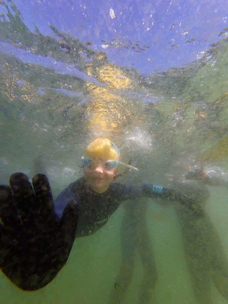 Into The Blue activity